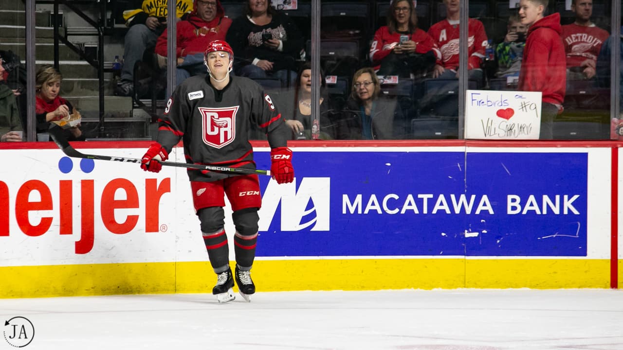 Vili Saarijarvi, Grand Rapids Griffins, AHL