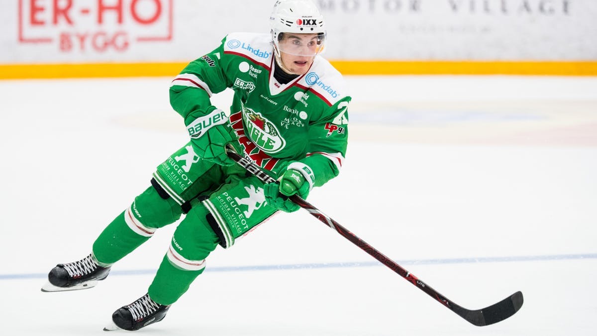 Nils Hoglander Hockey Stats and Profile at