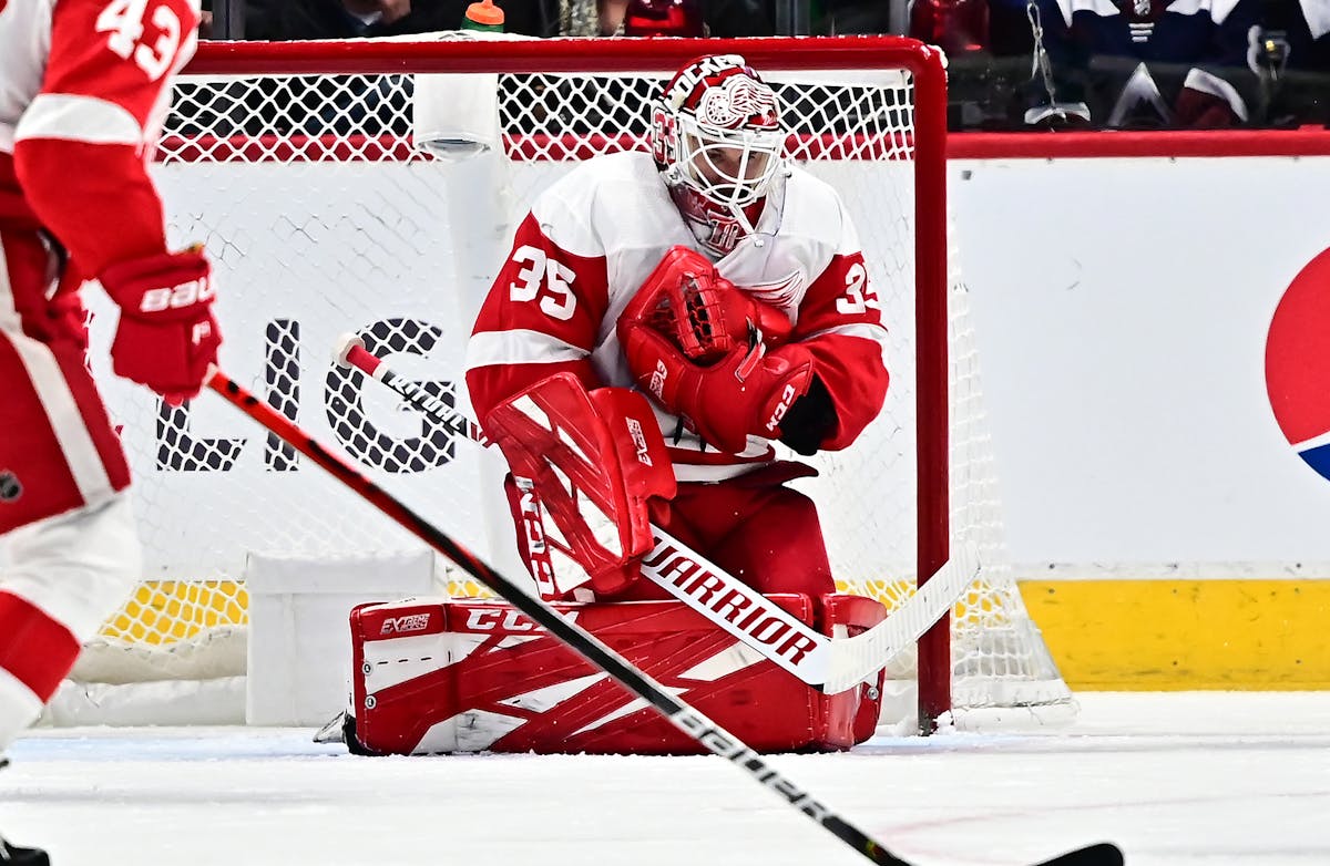 JIMMY HOWARD AUTOGRAPHED DETROIT RED WINGS 16X20 PHOTO #4 - 2014 WINTER  CLASSIC at 's Sports Collectibles Store