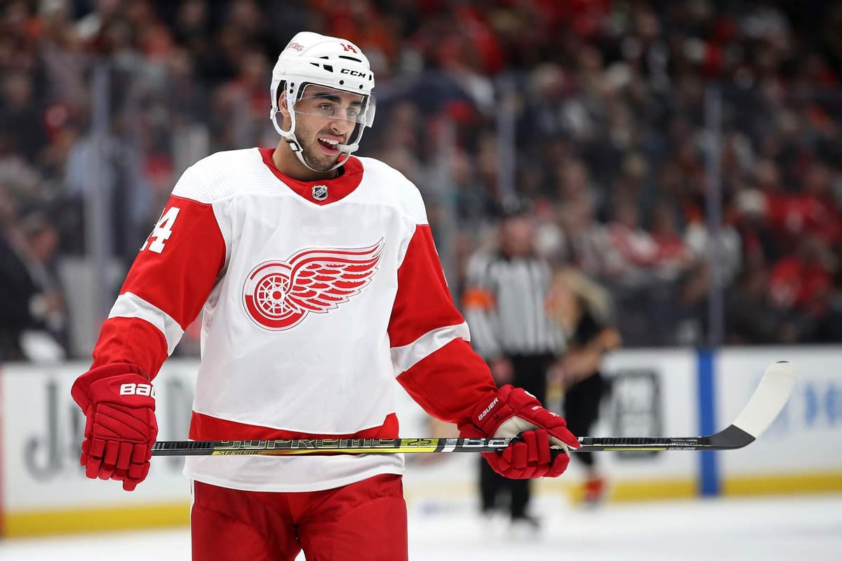 Can Red Wings F Robby Fabbri Take Another Step Forward During Year 2 ...