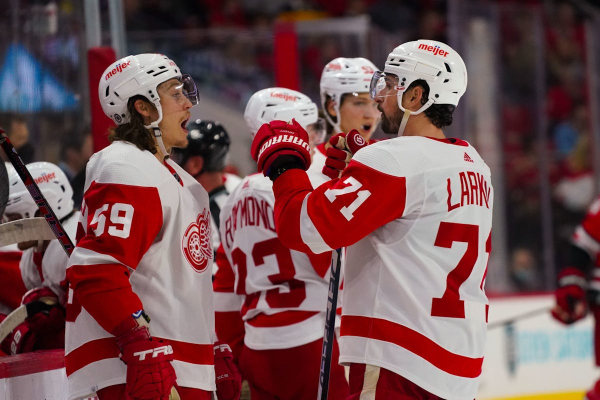 Constructing a realistic forward lineup for the 202223 Red Wings
