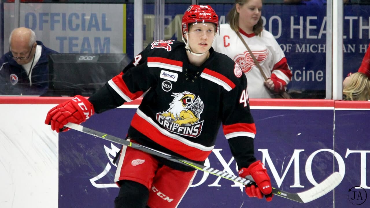 red wings prospect, dennis cholowski, grand rapids griffins, griffins hockey, calder cup, playoffs, playoff hockey, round 1,